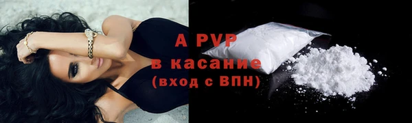 прущие грибы Волосово