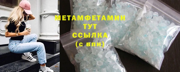 прущие грибы Волосово