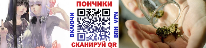 купить наркотики цена  Луга  Шишки марихуана THC 21% 
